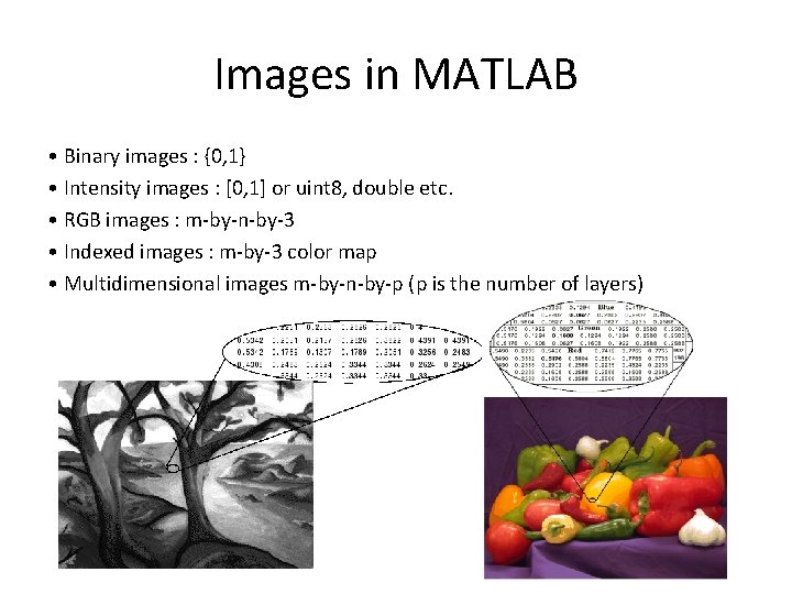 Images in MATLAB • Binary images : {0, 1} • Intensity images : [0,