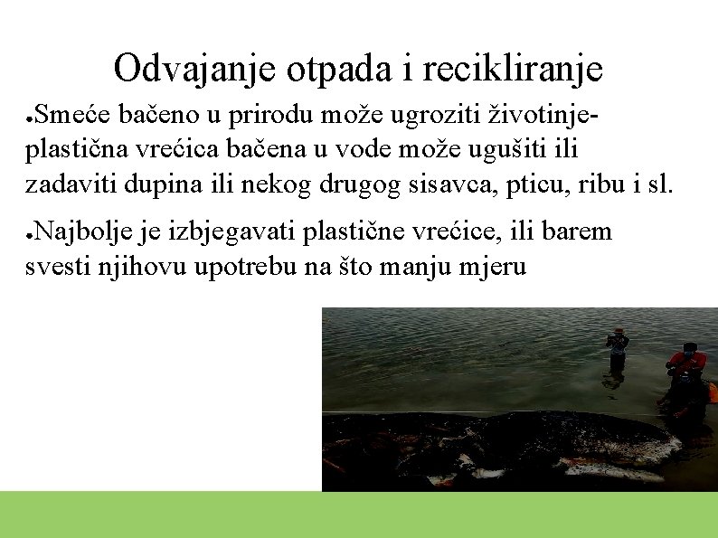 Odvajanje otpada i recikliranje Smeće bačeno u prirodu može ugroziti životinjeplastična vrećica bačena u