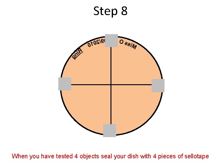 Step 8 When you have tested 4 objects seal your dish with 4 pieces