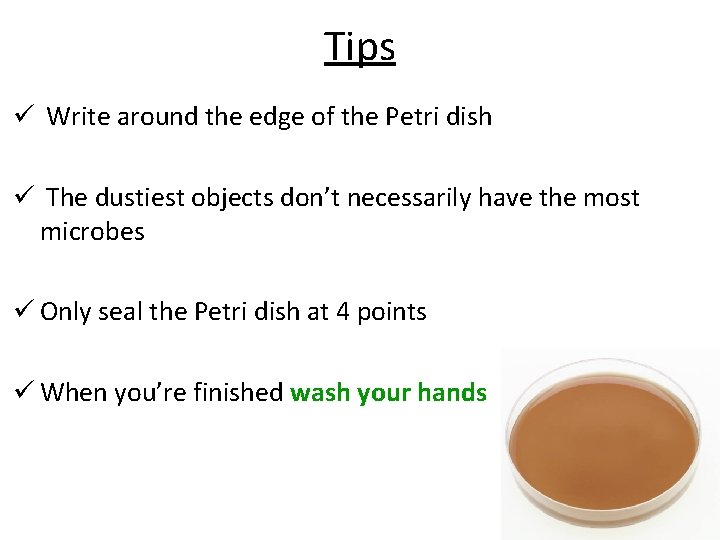 Tips ü Write around the edge of the Petri dish ü The dustiest objects