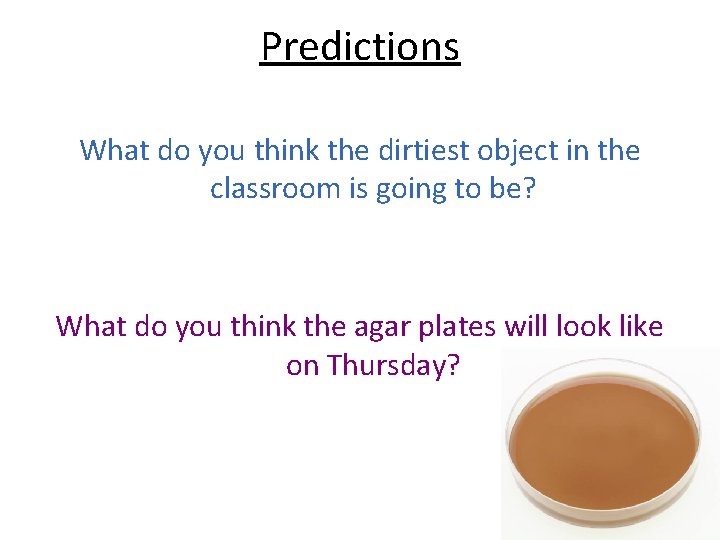 Predictions What do you think the dirtiest object in the classroom is going to