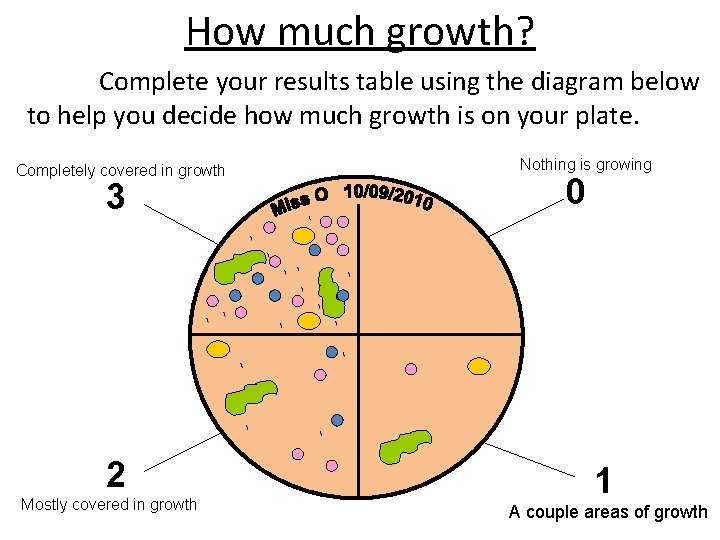 How much growth? Complete your results table using the diagram below to help you