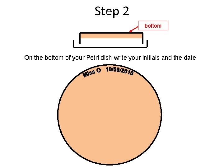 Step 2 bottom On the bottom of your Petri dish write your initials and