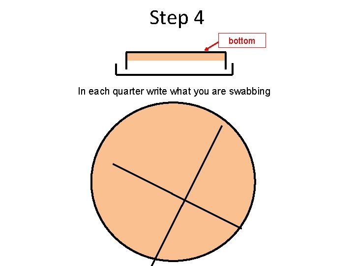 Step 4 bottom In each quarter write what you are swabbing 