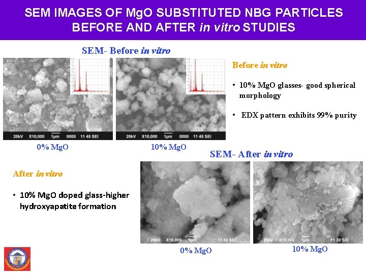 SEM IMAGES OF Mg. O SUBSTITUTED NBG PARTICLES BEFORE AND AFTER in vitro STUDIES