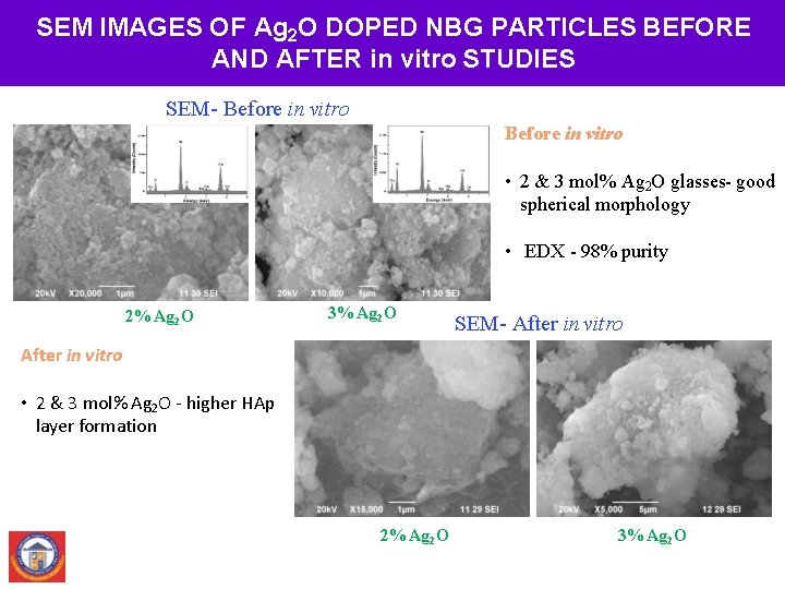 SEM IMAGES OF Ag 2 O DOPED NBG PARTICLES BEFORE AND AFTER in vitro