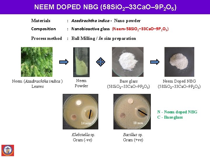 NEEM DOPED NBG (58 Si. O 2– 33 Ca. O– 9 P 2 O