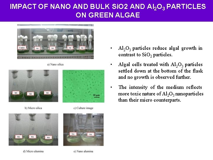 IMPACT OF NANO AND BULK Si. O 2 AND Al 2 O 3 PARTICLES