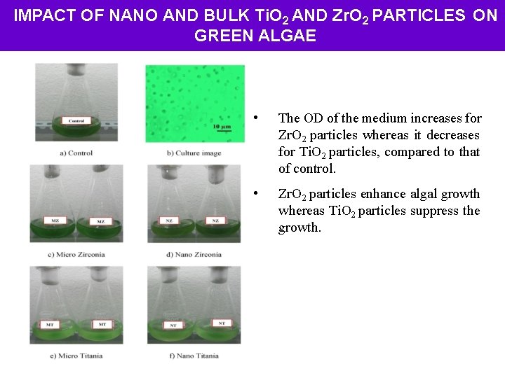 IMPACT OF NANO AND BULK Ti. O 2 AND Zr. O 2 PARTICLES ON