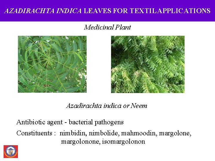 AZADIRACHTA INDICA LEAVES FOR TEXTIL APPLICATIONS Medicinal Plant Azadirachta indica or Neem Antibiotic agent