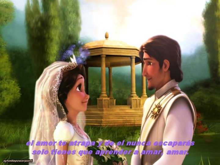 el amor te atrapa y de el nunca escaparás solo tienes que aprender a