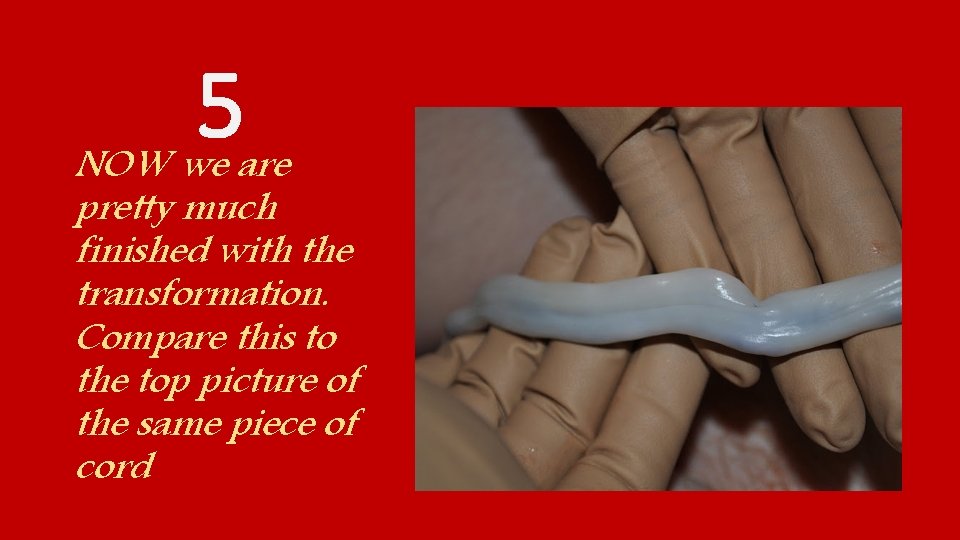 5 NOW we are pretty much finished with the transformation. Compare this to the