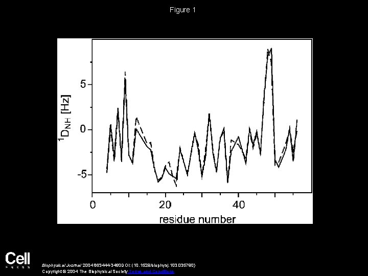 Figure 1 Biophysical Journal 2004 863444 -3460 DOI: (10. 1529/biophysj. 103. 035790) Copyright ©