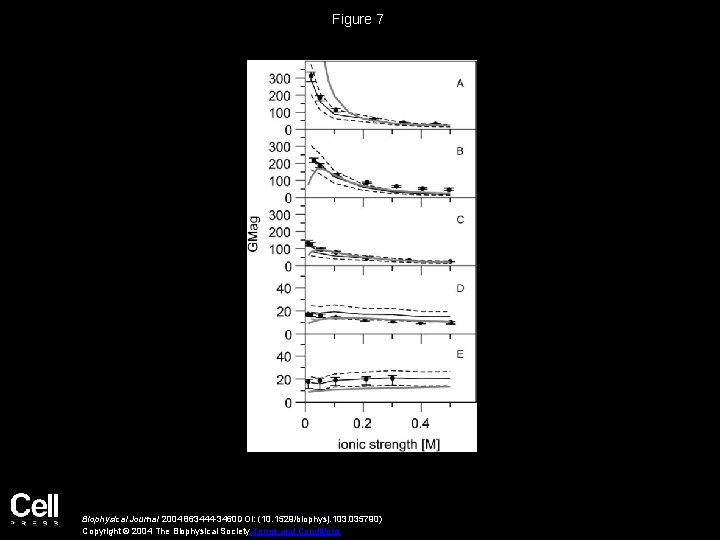 Figure 7 Biophysical Journal 2004 863444 -3460 DOI: (10. 1529/biophysj. 103. 035790) Copyright ©