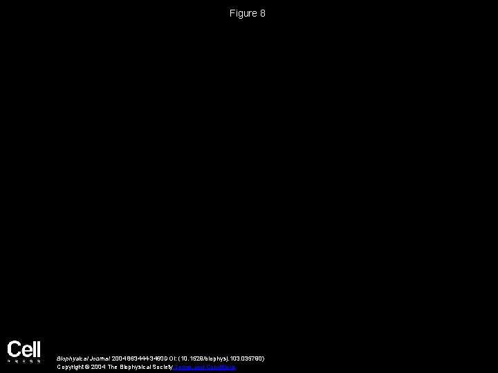 Figure 8 Biophysical Journal 2004 863444 -3460 DOI: (10. 1529/biophysj. 103. 035790) Copyright ©
