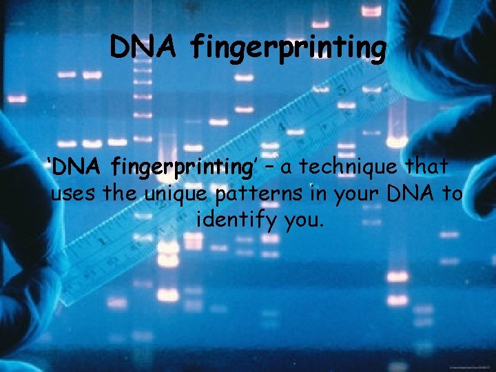 DNA fingerprinting ‘DNA fingerprinting’ – a technique that uses the unique patterns in your