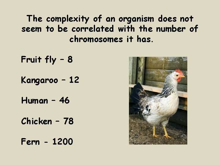 The complexity of an organism does not seem to be correlated with the number