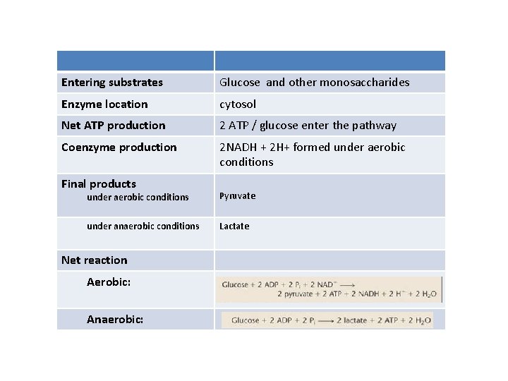 Entering substrates Glucose and other monosaccharides Enzyme location cytosol Net ATP production 2 ATP