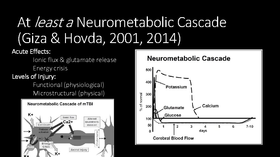 At least a Neurometabolic Cascade (Giza & Hovda, 2001, 2014) Acute Effects: Ionic flux