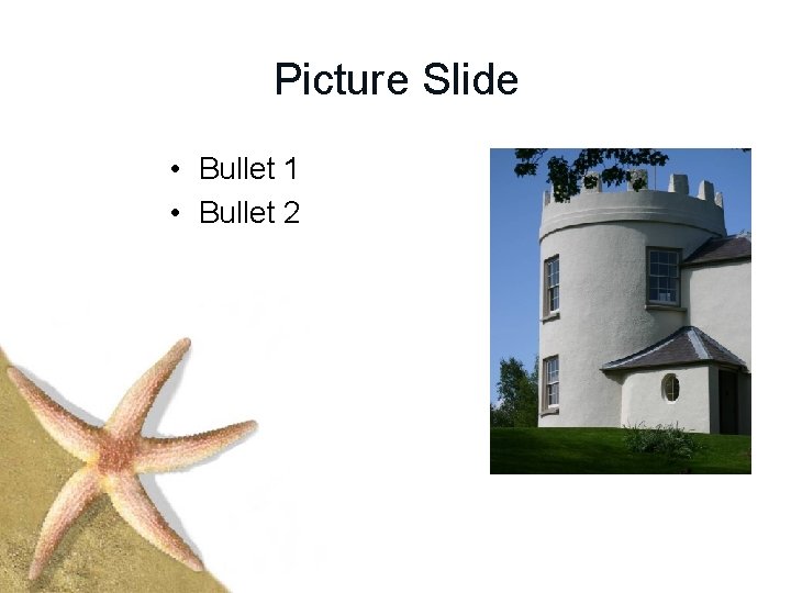 Picture Slide • Bullet 1 • Bullet 2 