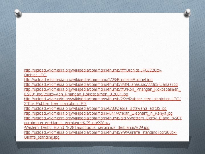 http: //upload. wikimedia. org/wikipedia/commons/thumb/f/ff/Orchids. JPG/220 px. Orchids. JPG http: //upload. wikimedia. org/wikipedia/commons/2/23/Bromelie. Epiphyt. jpg