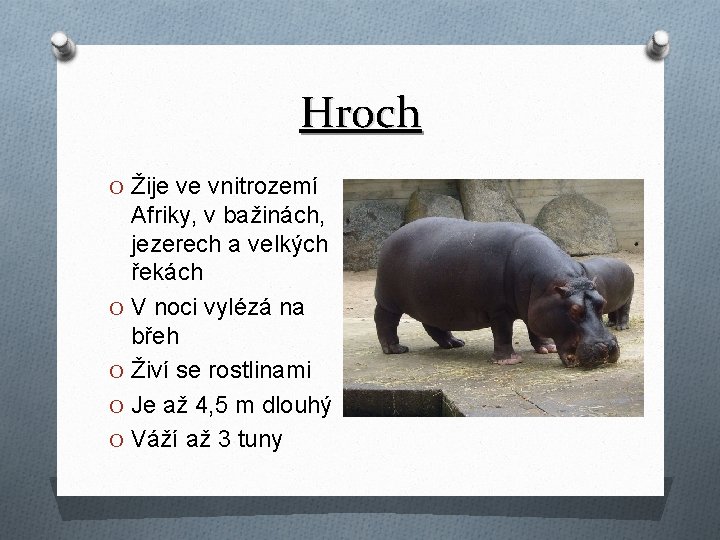 Hroch O Žije ve vnitrozemí Afriky, v bažinách, jezerech a velkých řekách O V