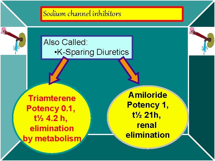 Sodium channel inhibitors Also Called: • K-Sparing Diuretics Triamterene Potency 0. 1, t½ 4.