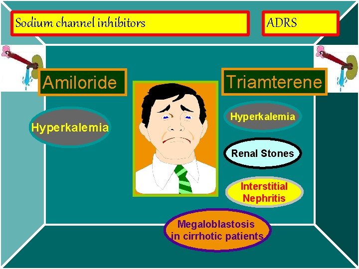 Sodium channel inhibitors Amiloride Hyperkalemia ADRS Triamterene Hyperkalemia Renal Stones Interstitial Nephritis Megaloblastosis in
