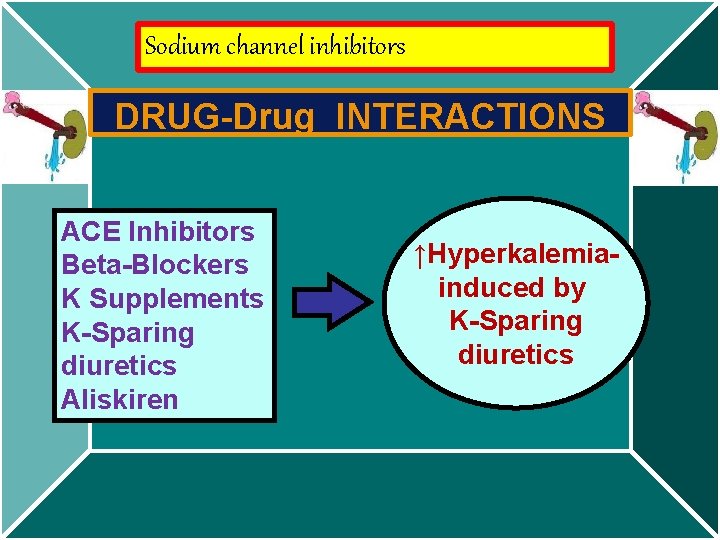 Sodium channel inhibitors DRUG-Drug INTERACTIONS ACE Inhibitors Beta-Blockers K Supplements K-Sparing diuretics Aliskiren ↑Hyperkalemiainduced
