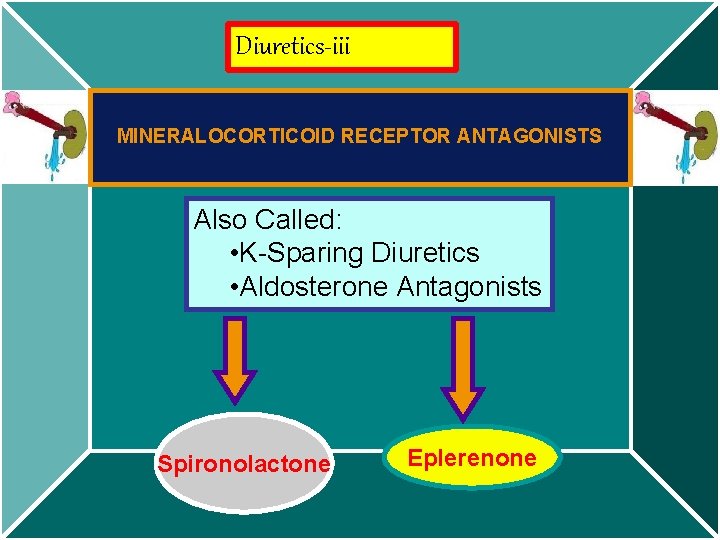 Diuretics-iii MINERALOCORTICOID RECEPTOR ANTAGONISTS Also Called: • K-Sparing Diuretics • Aldosterone Antagonists Spironolactone Eplerenone