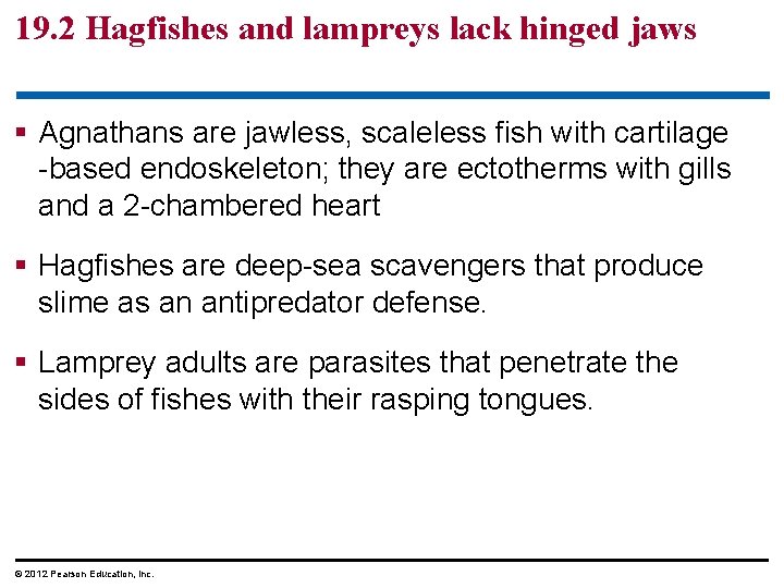 19. 2 Hagfishes and lampreys lack hinged jaws § Agnathans are jawless, scaleless fish