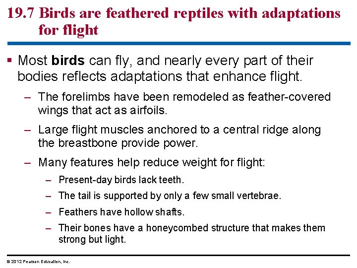 19. 7 Birds are feathered reptiles with adaptations for flight § Most birds can