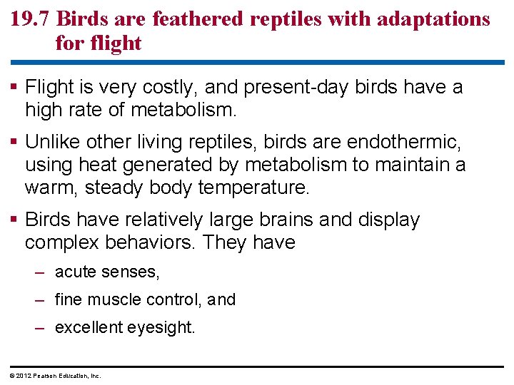 19. 7 Birds are feathered reptiles with adaptations for flight § Flight is very