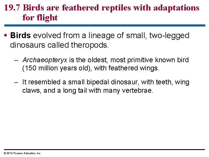 19. 7 Birds are feathered reptiles with adaptations for flight § Birds evolved from