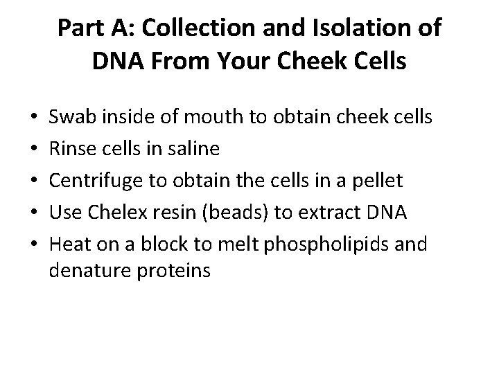 Part A: Collection and Isolation of DNA From Your Cheek Cells • • •