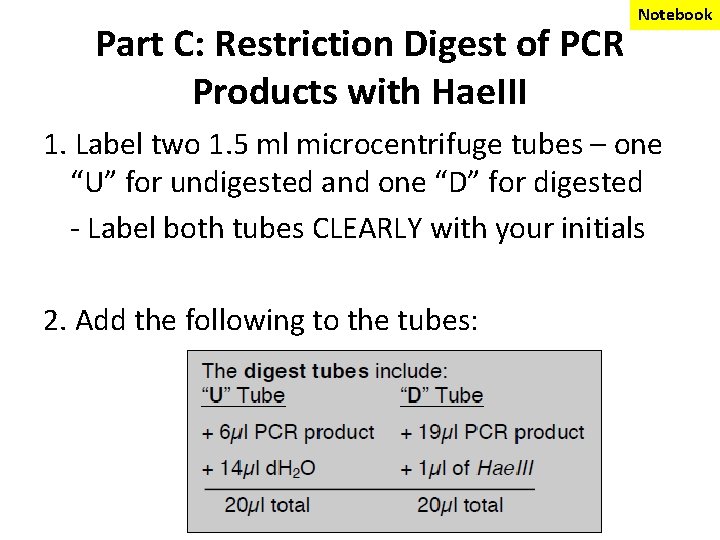 Part C: Restriction Digest of PCR Products with Hae. III Notebook 1. Label two