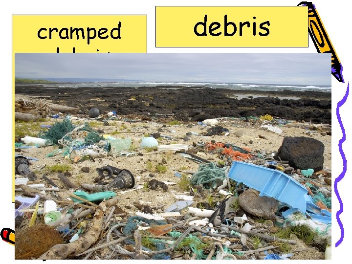 cramped debris interior ooze robotic sediment sonar debris Scattered fragments; ruins; rubbish 