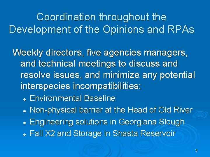 Coordination throughout the Development of the Opinions and RPAs Weekly directors, five agencies managers,