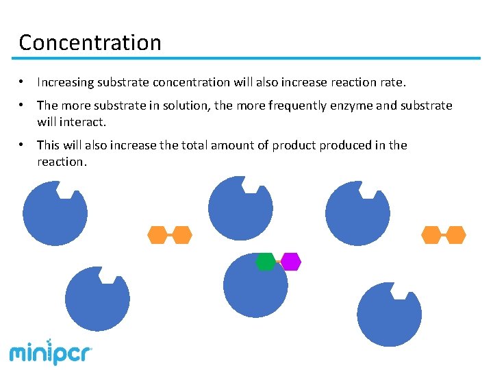 Concentration • Increasing substrate concentration will also increase reaction rate. • The more substrate