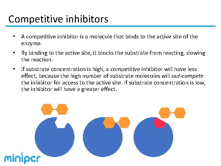 Competitive inhibitors • A competitive inhibitor is a molecule that binds to the active