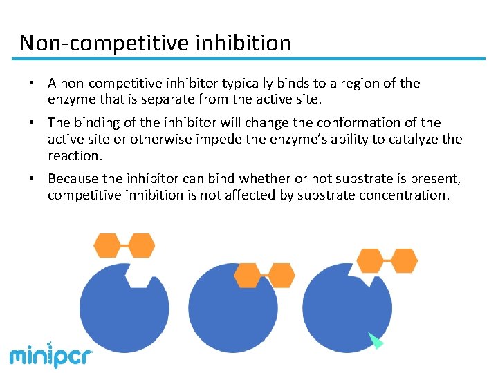 Non-competitive inhibition • A non-competitive inhibitor typically binds to a region of the enzyme