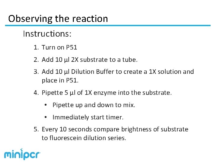 Observing the reaction Instructions: 1. Turn on P 51 2. Add 10 µl 2