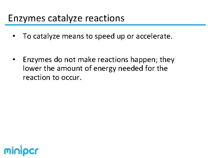 Enzymes catalyze reactions • To catalyze means to speed up or accelerate. • Enzymes