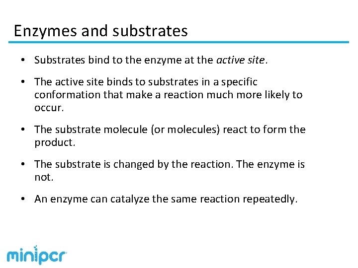 Enzymes and substrates • Substrates bind to the enzyme at the active site. •