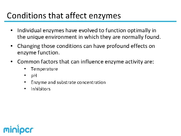 Conditions that affect enzymes • Individual enzymes have evolved to function optimally in the