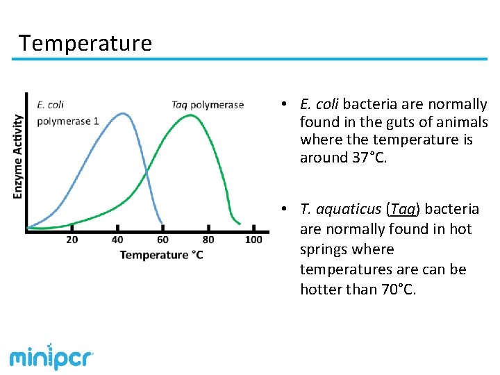 Temperature • E. coli bacteria are normally found in the guts of animals where
