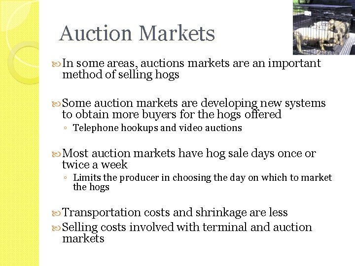 Auction Markets In some areas, auctions markets are an important method of selling hogs