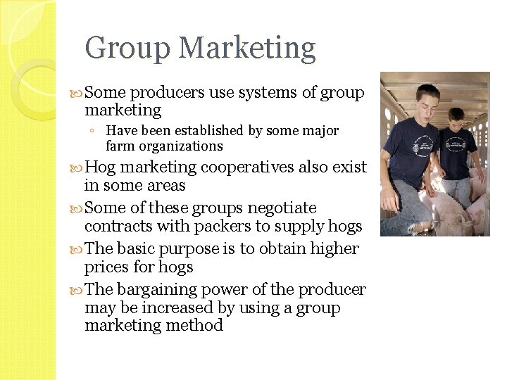 Group Marketing Some producers use systems of group marketing ◦ Have been established by