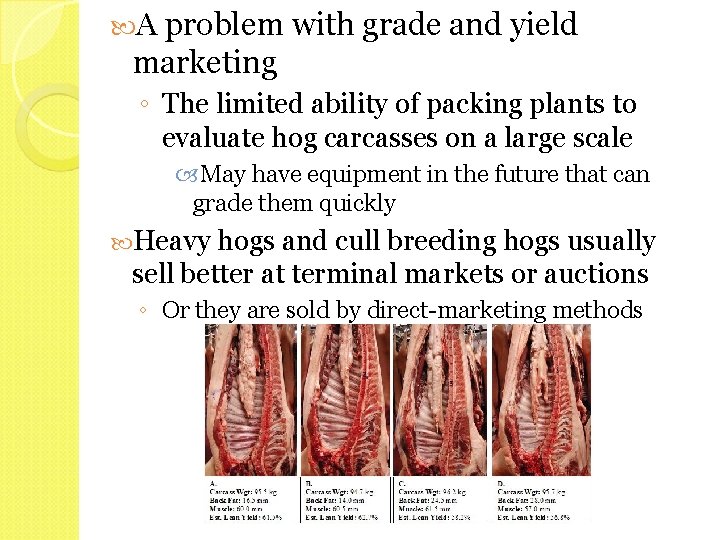  A problem with grade and yield marketing ◦ The limited ability of packing