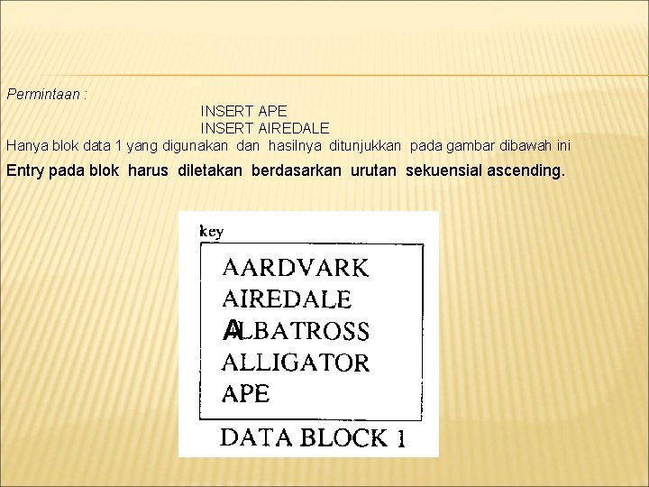 Permintaan : INSERT APE INSERT AIREDALE Hanya blok data 1 yang digunakan dan hasilnya